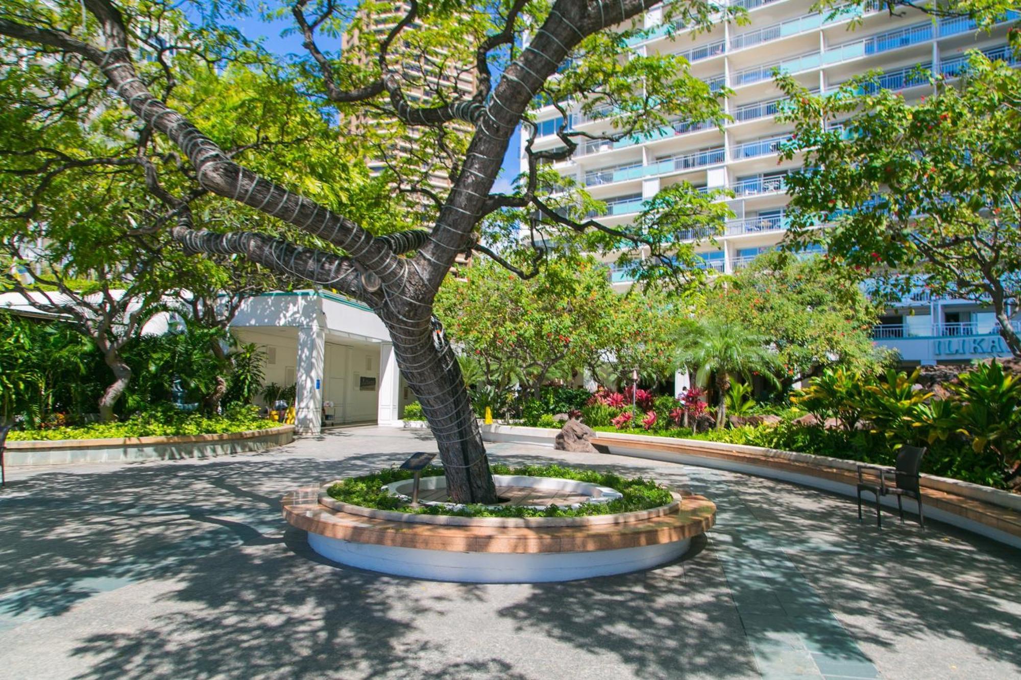 Ferienwohnung Ilikai Tower 1127 Yacht Harbor View 1BR Honolulu Exterior foto